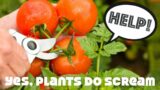 BREAKING: New Study Confirms Plants Have Feelings! Veganism Debunked!