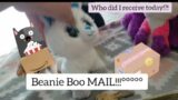 Beanie Boo Mail!! Who did I get this time!??!
