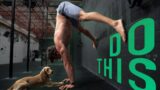 Best Exercise To Build A Press To Handstand!