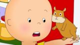 Caillou and the Class Pet | Caillou New Adventures | Cartoons for Kids | WildBrain Bananas