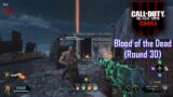 Call of Duty Zombies: Blood of the Dead (Round 30)