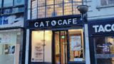 Cat Cafe Liverpool – January 2023