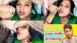 Cow Milking | Drinking Cow Milk | Village Vlog 2023 | Reaction video | vlogs