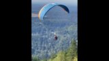 Craziest paragliders take off from a cliff.