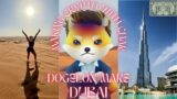 DOGELON MARS UPDATE ~ DUBAI CRYPTO FRIENDLY ~ #elonmusk #dogelonmars #finance #bitcoin #dubai