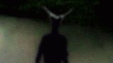 Disturbing Cryptid Sightings That Will Make You Question Reality