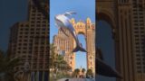 Dolphin Dreams: Flying Through a Fantasy World of Buildings #fantasyworld #imaginations #dolphin