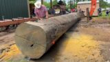 EPIC GIANT Sinker Cypress Log Pulled From River Bottom On The Sawmill! 38Foot Long!