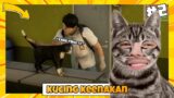 Elus Kucing 3 Kali,dan Duel Lawan OSIS! | Troublemaker #2