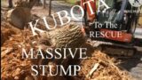 Giant Stump Removal Kubota To The Rescue #mrbeast  #nickname