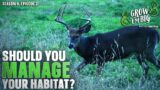 Habitat Improvements for Small Hunting Properties