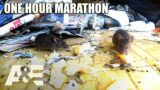 Hoarders: Most INTENSE Infestations – One-Hour Marathon! | A&E