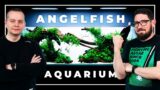 How We Built Our 650 LITER Nature Aquarium with ANGELFISH