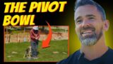 How to Train Your Dog to Pivot with the Balance Perch!