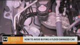 How to avoid buying a flood damaged car