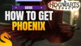 How to catch a Phoenix – HOGWARTS LEGACY