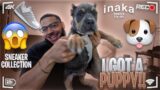 I GOT A NEW PUPPY | INAKA BASICS TRY ON | SNEAKER COLLECTION