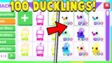 I Opened 100 DUCKLING BOXES in Adopt Me!