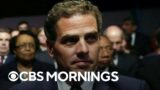 IRS agent requests whistleblower protections from Congress in Hunter Biden tax investigation