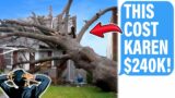 Karen Cut Down $240,000 Tree On My Property, SUES Me When It Destroys Her House!