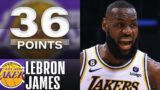 LeBron James Drops 36 Points in Last Regular Season Game !