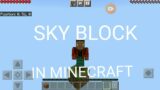 MINECRAFT BUT SKY BLOCK!!  #smarty #fleet