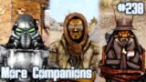 MORE COMPANIONS – Cinemodded Fallout #238
