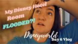 My Disney Hotel Room FLOODED?! | Magic Kingdom & Hollywood Studios | Day 6 Vlog