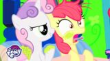 My Little Pony | Family Appreciation Day | My Little Pony Friendship is Magic | MLP: FiM