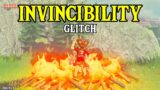 NEW GLITCH! Becoming INVINCIBLE!!! NEVER Die Again! | Zelda: Breath of the Wild