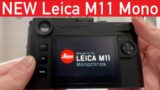 NEW Leica M11 Monochrom vs M10 Mono vs M11