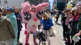 New York City LIVE Easter Parade & NYC Easter Bonnet Festival 2023 5th Avenue w/Hudson the Dog