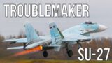 Russia's Troublemaker Insane Successful Fighter Jet SU-27