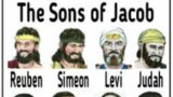 SONS OF JACOB & THE 12 TRIBES AKA MASONS MIMICKING THE SUN & 12 HOUSES DECIPLINE TO CREATE COLONIES