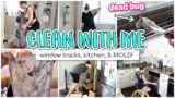Satisfying Cleaning and Homemaking Motivation! // Window Tracks, Kitchen, & Mold! | Jill Kay