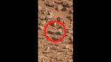 Som ET – 78 – Mars – Curiosity Sol 315 – Video 1 #Shorts