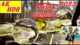Sons Of The Forest 2023|  Kill Red Tribe| Twins Monster Human Cannibal Tribes by GUNS| GUN
