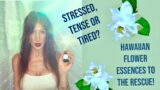 Stressed, Tense or Tired? Healing Hawaiian Flower Essences To the Rescue!