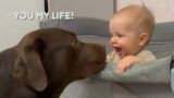 Sweet Moments with My Baby and Our Dog: Teaching Gentle Playtime!