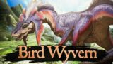 The Beasts of Monster Hunter – The Bird Wyvern | Ecology Documentary