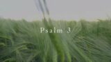 The Book of Psalms: Psalm 3/Daily Bible Reading/Daily Meditation/The Bible Project