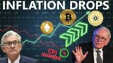 The *CARDANO* BOOST | BUFFETT: BITCOIN IS GAMBLING TOKEN | INFLATION Drops