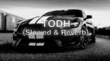 Todh [Slowed + Reverb]