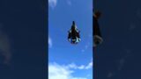 power of hayabusa and driver doing jump in sky #shortvideo #games