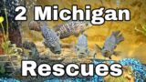 2 Awesome  Michigan Rescues