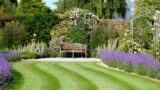 200 French garden landscaping ideas //terracotta /boxwood