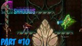 9 Years of Shadows – Part 10: Issa Kabeer and Ulf Boss Fights!