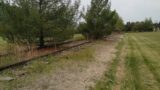 A fair amount of tracks at the Carbon County fairgrounds.