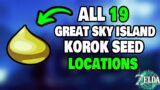 ALL 19 Korok Seed Locations on Great Sky Island in Zelda Tears of the Kingdom (STEP-BY-STEP)
