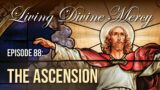 Ascension – Living Divine Mercy TV Show (EWTN) Ep.88 with Fr. Chris Alar